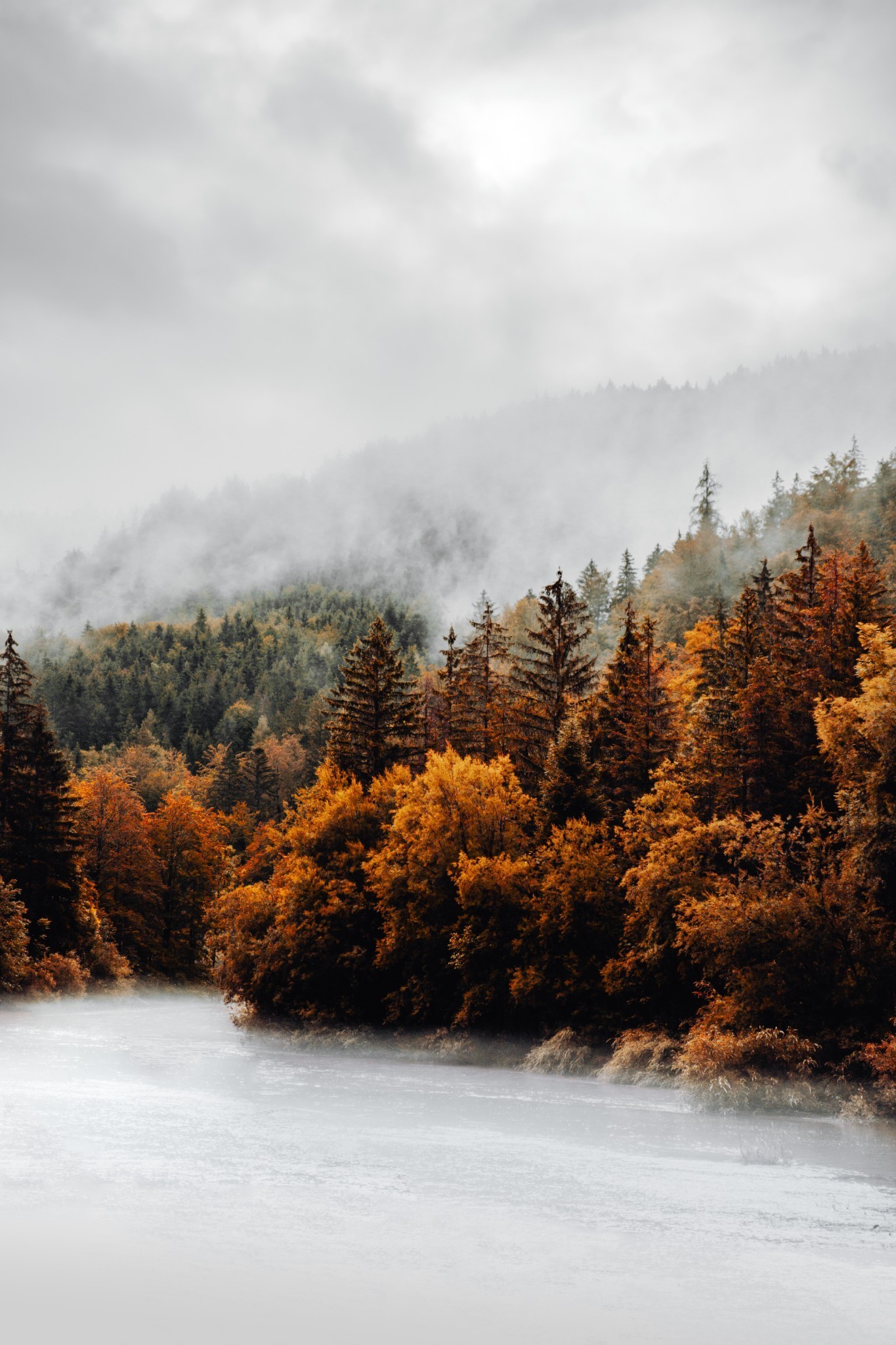 Природа Осенний берег реки. Как плавно осень переходит туман