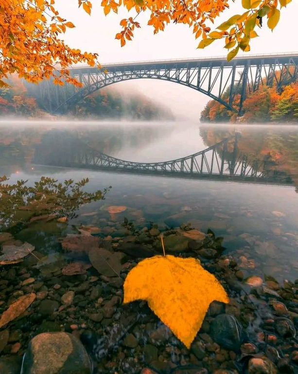 Природа Прекрасное туманное утро - Френч Кинг Бридж, Массачусетс, США. Осень, красиво.
