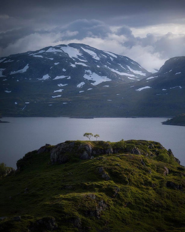 Природа В долине в Хаукели, Норвегия. И на камнях растут деревья. Два. Природа не для слабохарактерных.