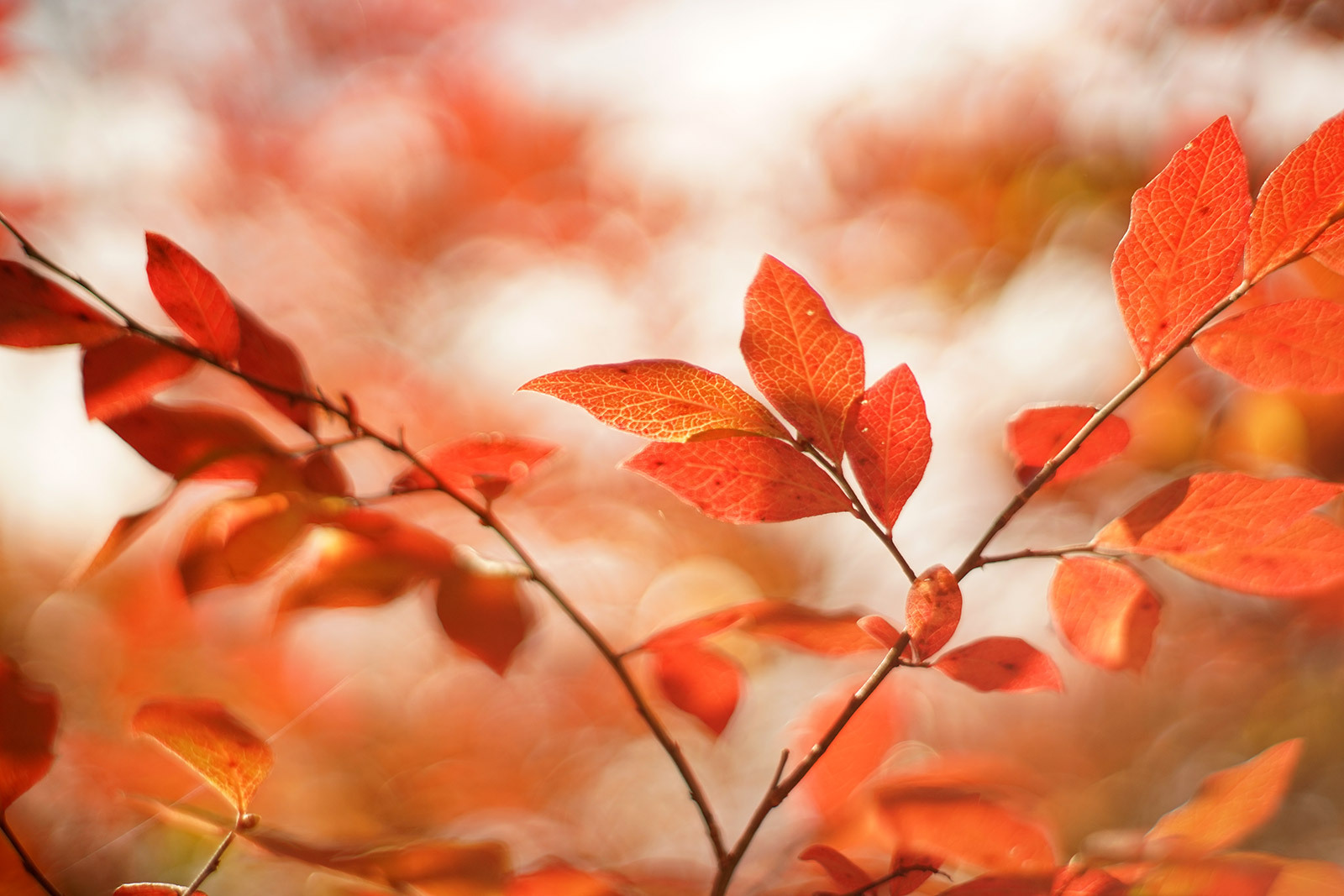 Природа Осень во всей красе. А Вы любите осень?
