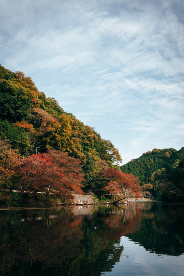Природа Берег реки ранней осенью. Когда на деревьях листья всех цветов осени. Кода еще тепло. Как же это замечательно.