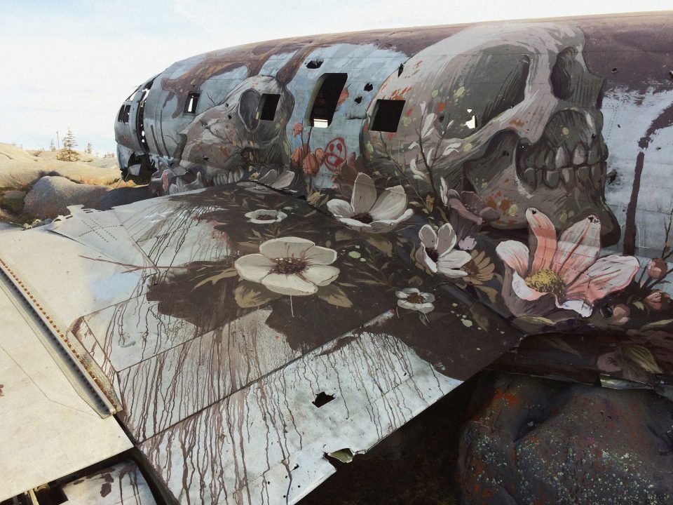 Любопытное Граффити на заброшенном самолете. Вот так, лежал себе ни кому ни нужный самолет. А из него сделали такое произведение искусств 