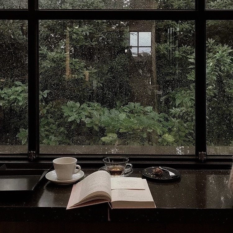 Природа Завтрак с книгой у окна