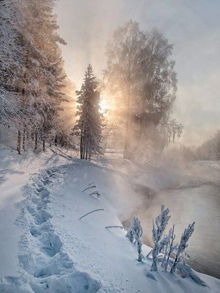Природа С добрым зимним утром