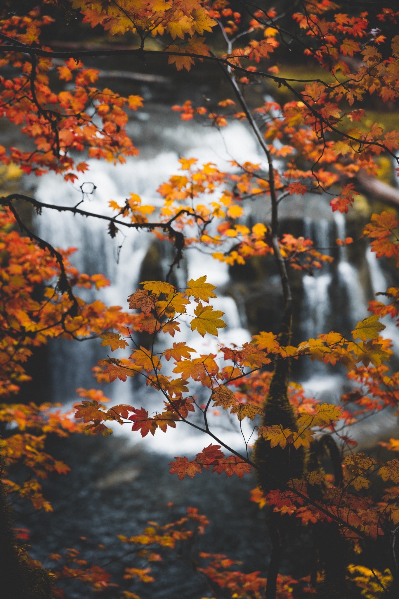 Природа Осенний водопад