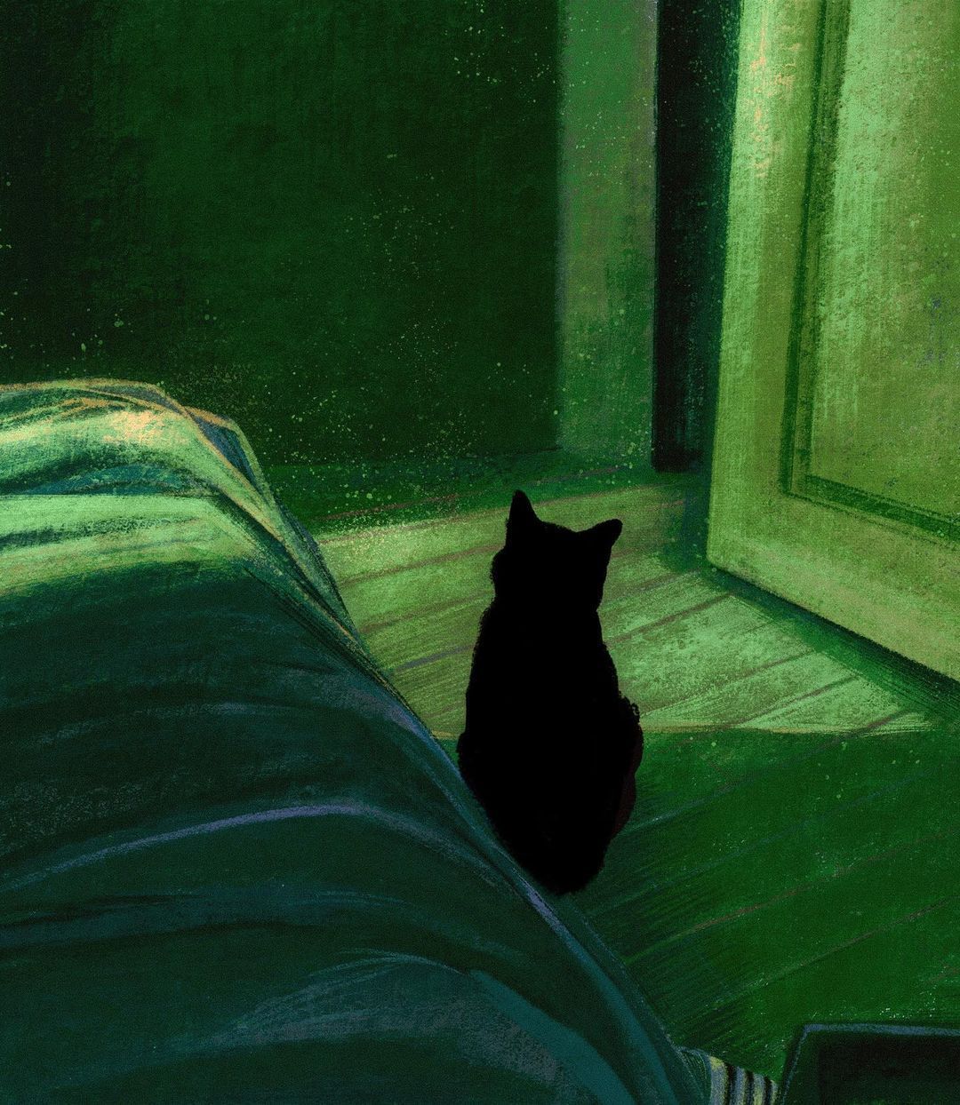 Животные Просто черный кот в зеленой комнате, прикольно получилось.