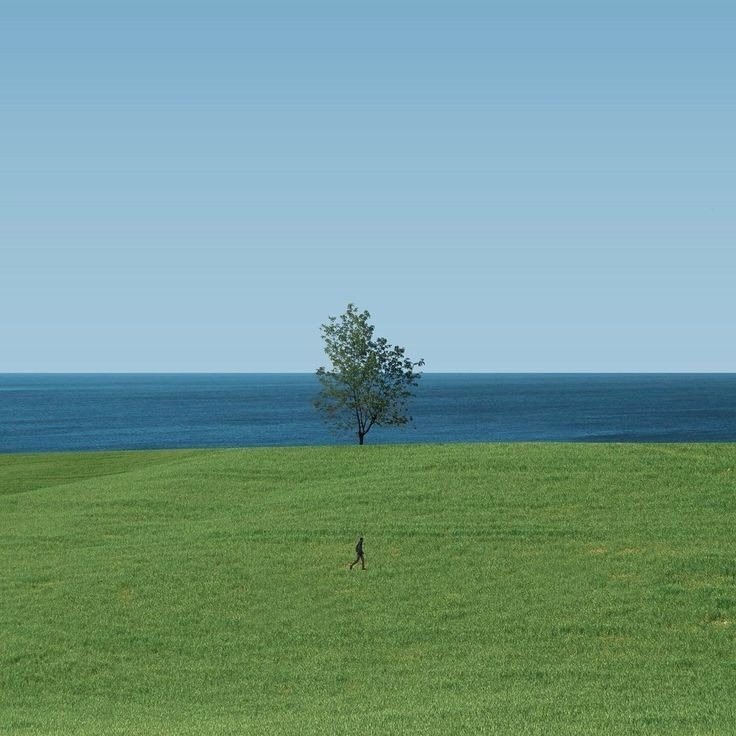 Природа На берегу моря. Особенно красиво смотрится одинокое дерево, да и смотровая скамейка в тему
