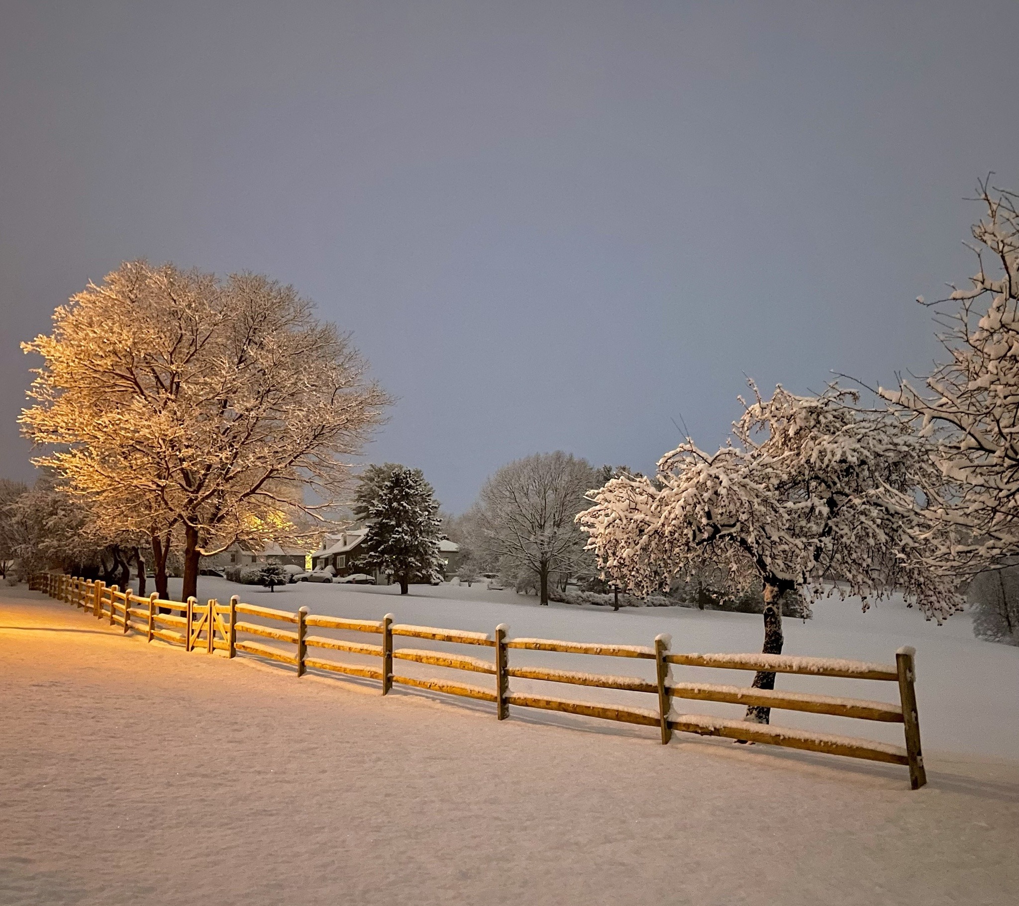 Природа Зимняя сказка. Где то в деревне. Красота не описуемая. А всего навсего снежком припорошило. 