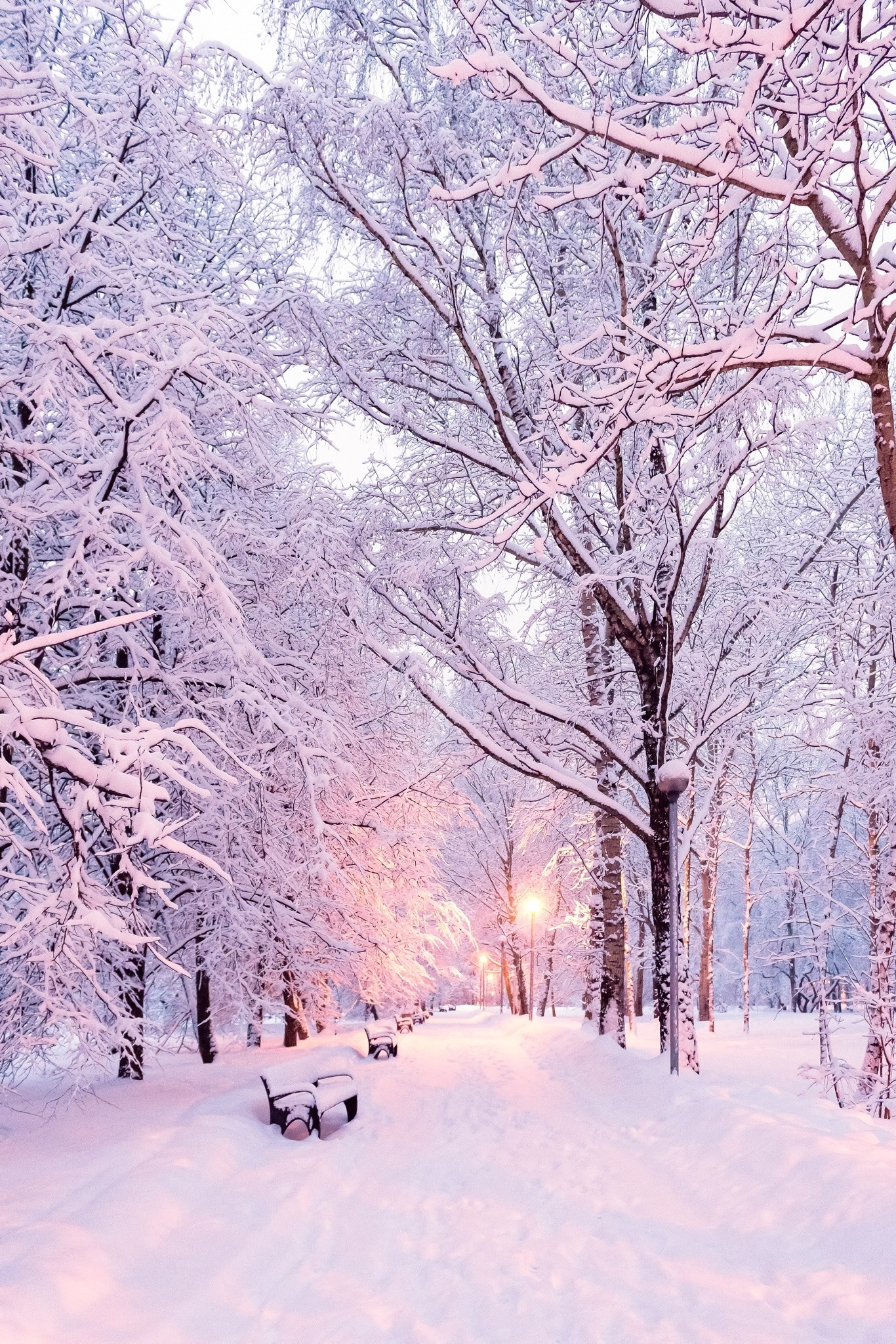Природа Зимняя сказка. Все белым бело от снега. Но снег такой, не холодный, а в котором хочется повалятся.