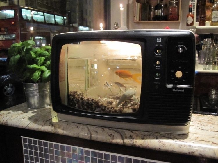 Для дома Аквариум в телевизоре, с рыбками, оригинально.