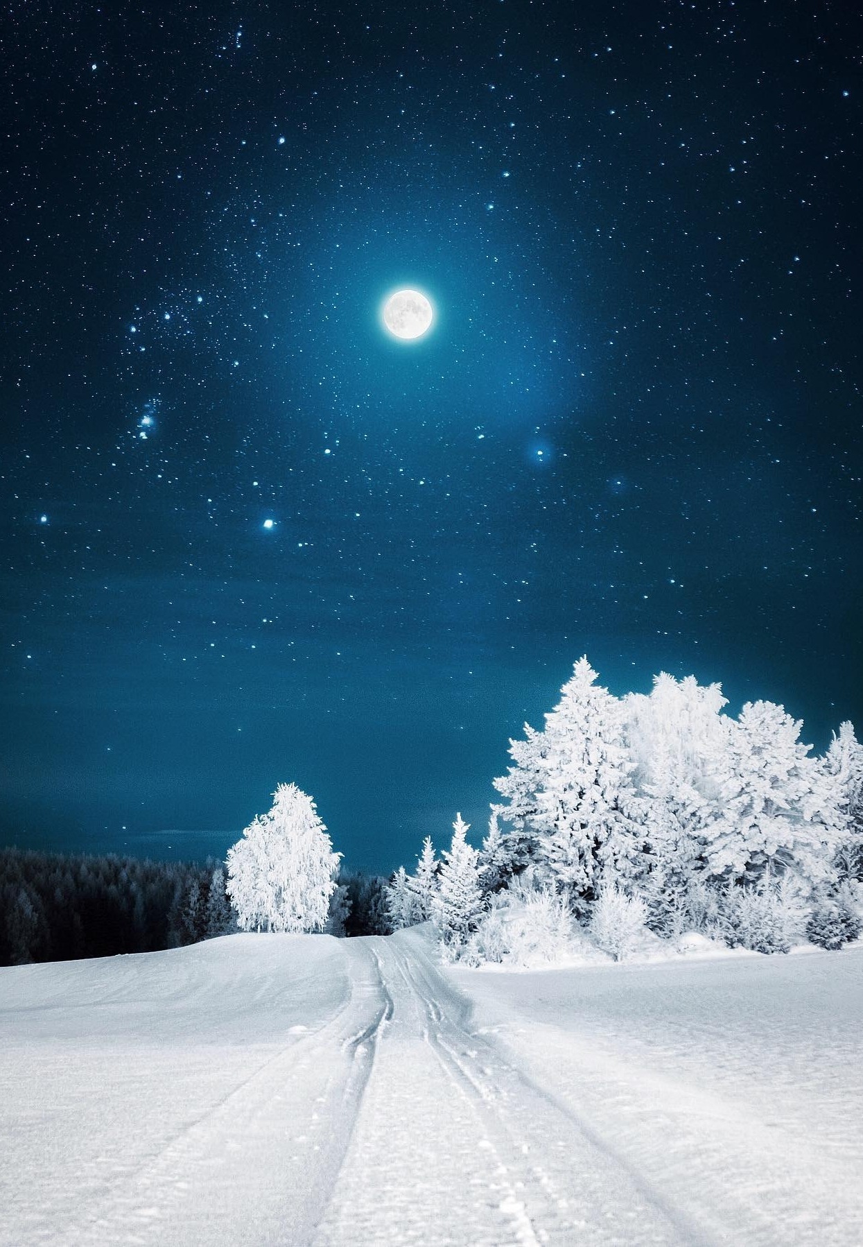 Природа Зимняя дорога. Какая простая красота. Не верится что это фото. И всю эту красоту освещает полная луна.