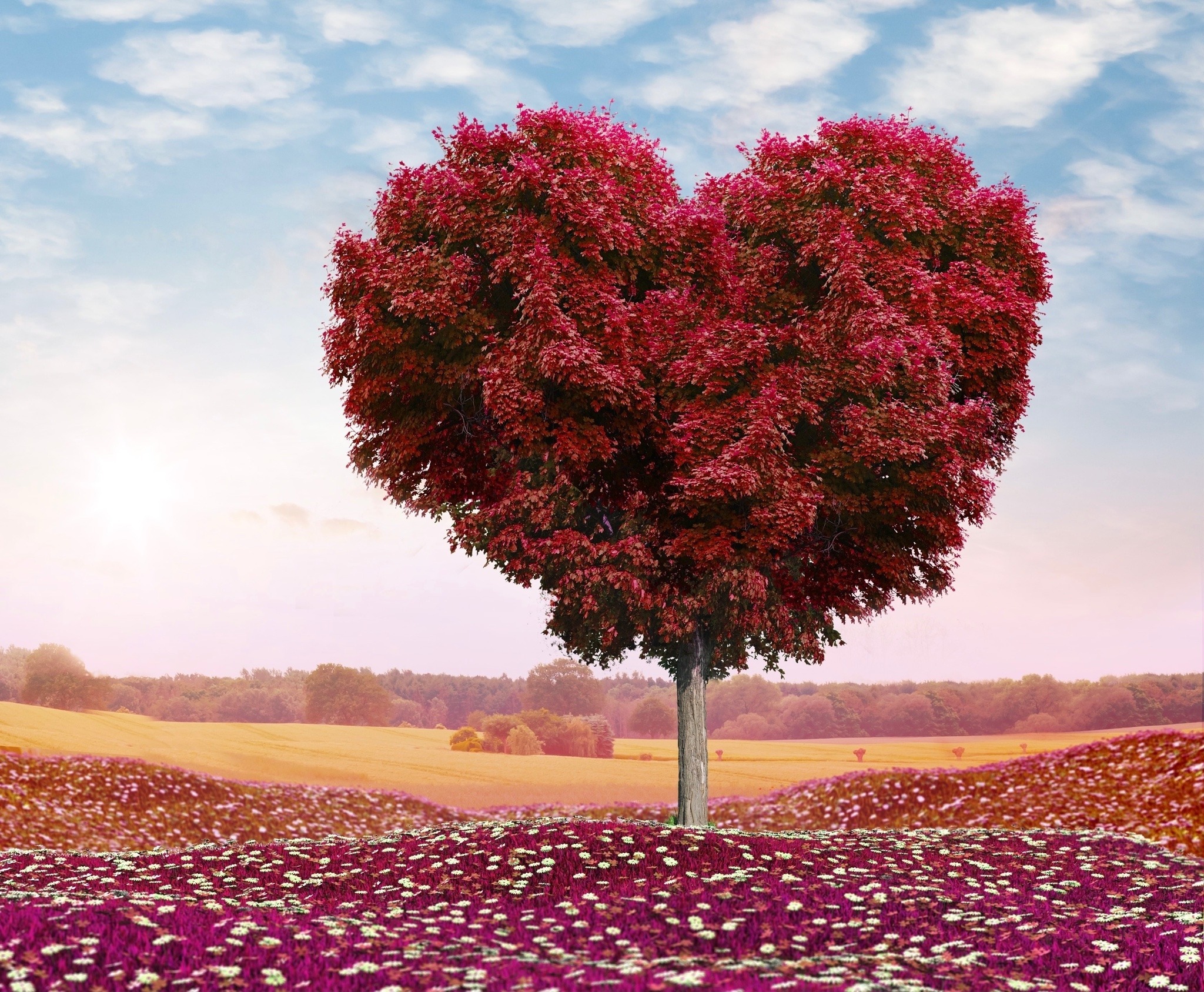 Природа Сердечное дерево, или дерево в виде сердца, это кому как удобно.