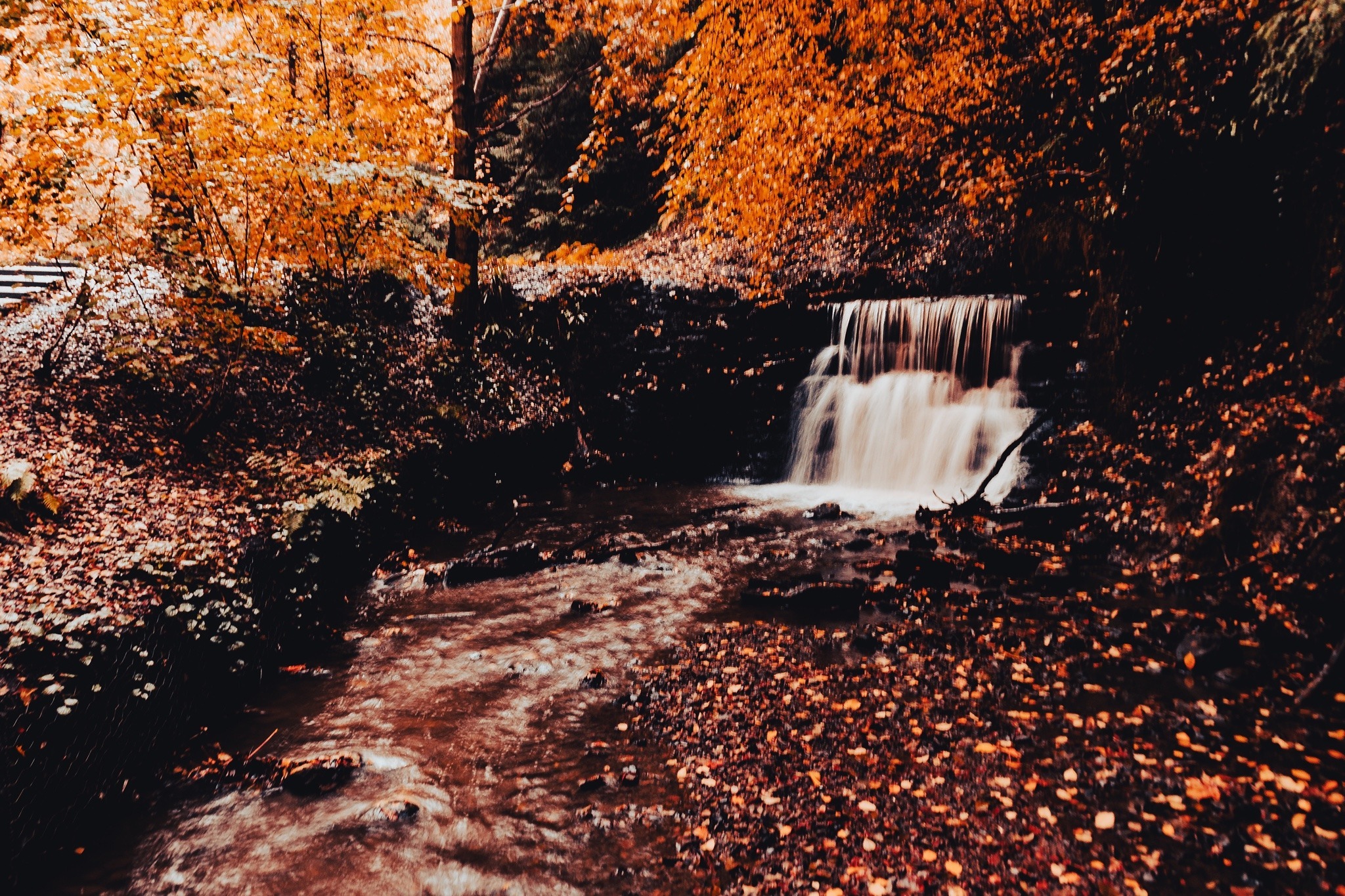 Природа Осенний водопад, несет опавшую листву, еще чуть чуть, еще немного и будет мерзлая вода