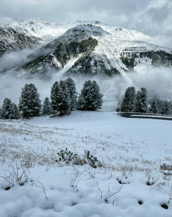 Природа Зима в горах. Снежком припорошило. Снег свежий, только выпал, как белый пух укрыл землю и вершины гор.