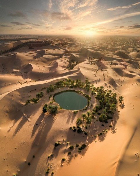 Природа Оазис посреди пустыни. Этож сколько нужно пройти, чтобы испить водицы.