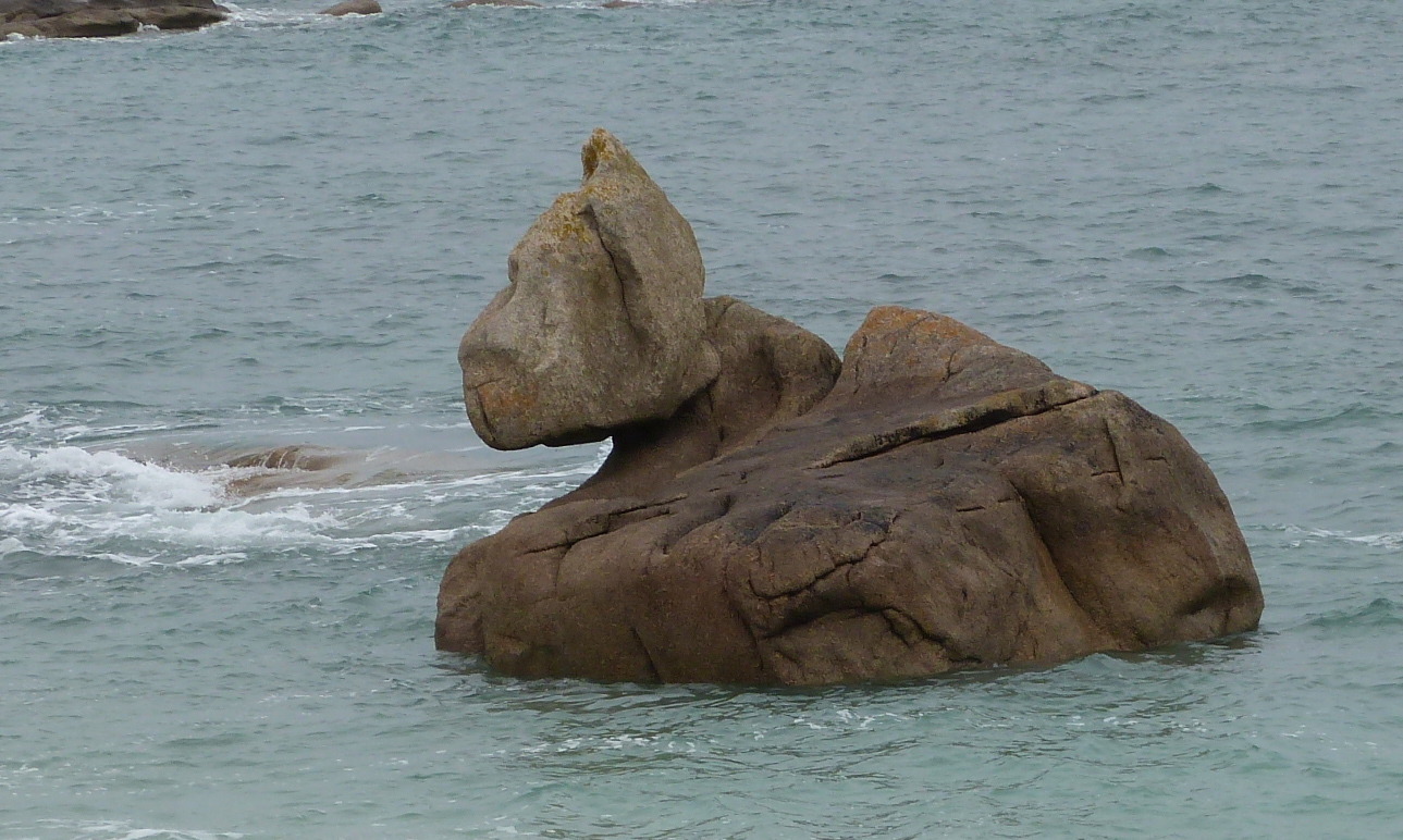 Природа Каменный кот. Охраняет пляж и море. Надежный сторож