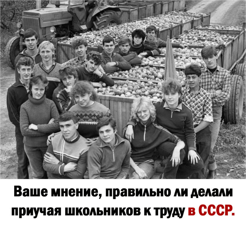 Ностальгия Приучение школьников к труду в СССР. Ваше мнение, правильно ли делали приучая школьников к труду в СССР.
